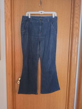 Level 99 Tanya High Rise Flare Jeans